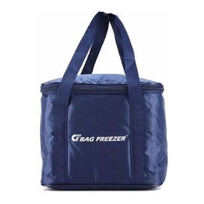 //www.casaevideo.com.br/bolsa-termica-bag-freezer-nylon-10-lts-129308/p