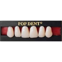 //www.casaevideo.com.br/dente-popdent-32m-posterior-inferior-62-211871/p