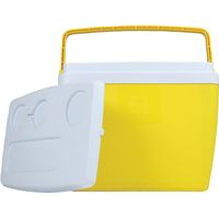 //www.casaevideo.com.br/caixa-termica-amarela-manga-34l-bel-/p